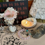 Jasmine Rose Seashell Soy Wax Candle Real Conch Shell Scented Candles