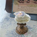 Seashell Scented Candle Gift Box Birthday Valentine's Day Natural Plant Wax Candle Present