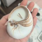 Jasmine Rose Seashell Soy Wax Candle Real Conch Shell Scented Candles