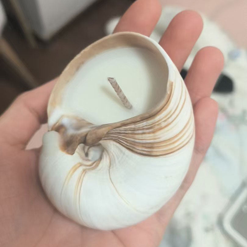 Jasmine Rose Seashell Soy Wax Candle Real Conch Shell Scented Candles