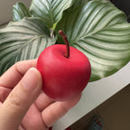 Christmas Snowman & Apple Scented Candle Gift Set Handmade Soy Wax Candles